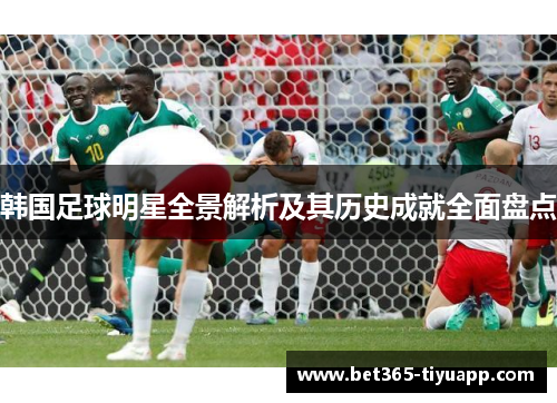 韩国足球明星全景解析及其历史成就全面盘点